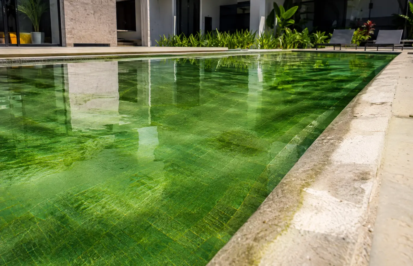 Exemplo de água verde em piscina